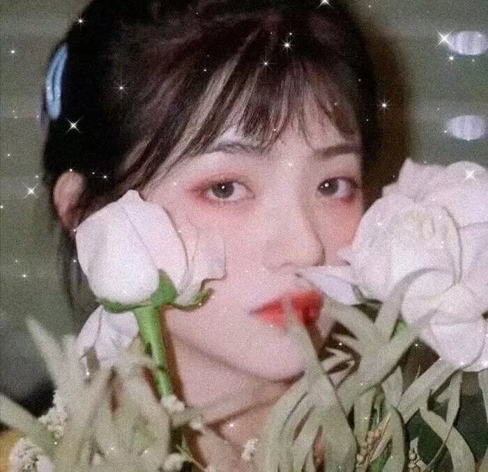 求求了，快复婚吧