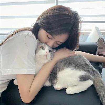 狗狗的旅程